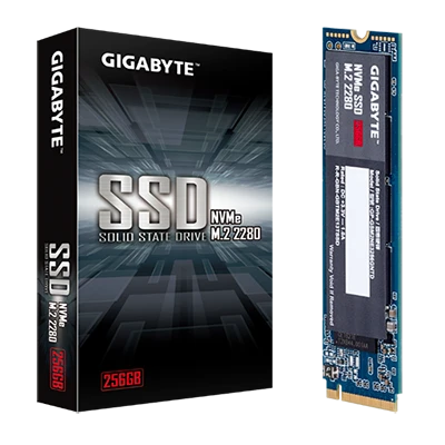 GIGABYTE 256GB M.2 PCIe NVMe SSD