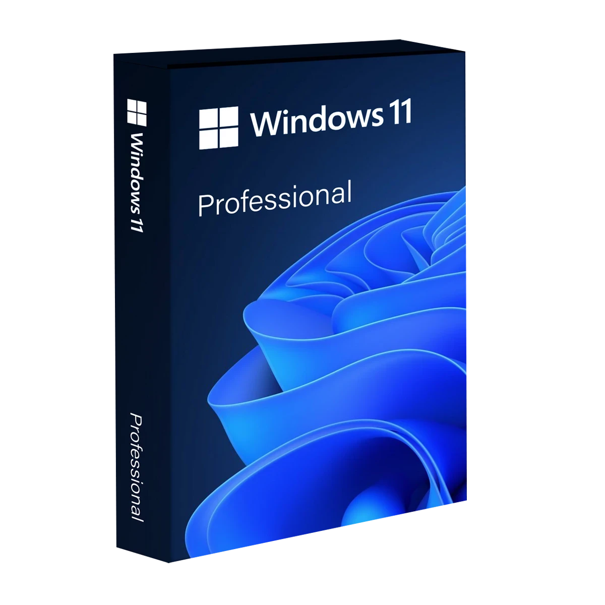 Windows 11 Professional 64bit OEI